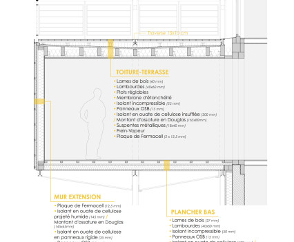 Kangourou_details_extension_coupe