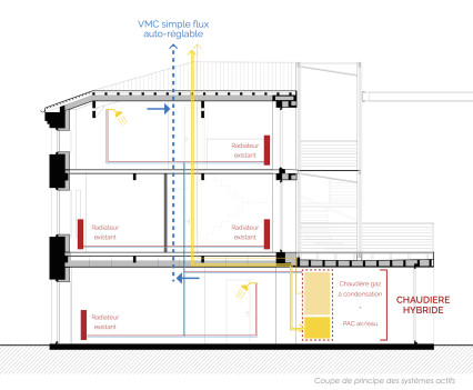 Kangourou_energie_strategieActive